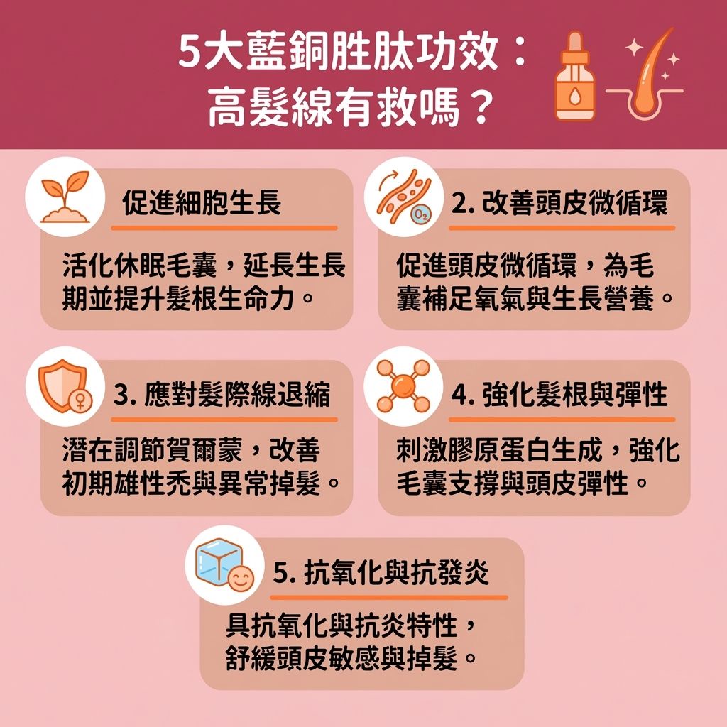 這是一張台灣健康部落格風格的 1:1 正方形資訊圖表，詳細圖解了藍銅胜肽的強大藍銅胜肽生髮效果。圖表深入探討如何透過這種優質的抗衰老生髮保養成分來對抗脫髮與雄性禿。在雄性禿治療方法中，它能潛在地抑制雙氫睪酮（即雙氫睪酮），對於預防髮線後移及解決頭髮稀疏有顯著幫助。

圖表指出，使用含有此成分的藍銅胜肽精華、生髮液或藍銅胜肽洗頭水，能深入真皮層，活化頭皮細胞與深層細胞，並刺激毛囊生長。它由多種氨基酸組成，能促進蛋白質合成，並作為強效抗氧化劑對抗自由基，同時舒緩頭皮發炎，減輕頭皮與毛囊的炎症。

透過改善頭皮血液循環，它能促進微血管的血液循環與新陳代謝，從而修復受損毛囊並延長毛髮生長期。這不僅能促進膠原蛋白增生（增加膠原蛋白與彈性蛋白），更能強化髮根健康，從髮根根本增強髮絲韌度。若擔心自身基因影響或藍銅胜肽副作用，建議諮詢皮膚科醫生。正確使用能有效增加頭髮密度並減少掉髮數量。