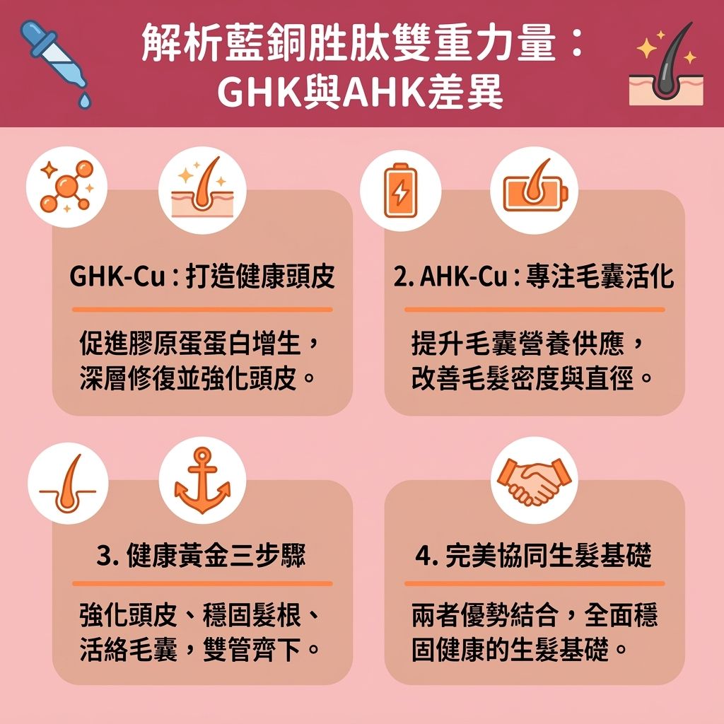 這是一張台灣健康部落格風格的 1:1 正方形資訊圖表，由專業皮膚科醫生詳細解析藍銅胜肽生髮效果與其在抗衰老生髮保養上的應用。許多人尋求有效的雄性禿治療方法來對抗由基因導致的雄性禿與一般脫髮，而藍銅胜肽正是極佳的解答。圖表比較了不同的胜肽結構，它們由氨基酸組成蛋白質，能深入真皮層的細胞。

透過正確使用藍銅胜肽洗頭水、生髮液與藍銅胜肽精華，能發揮強大的抗氧化劑作用，有效舒緩頭皮發炎並減少炎症，且能避免不當使用帶來的藍銅胜肽副作用。GHK-Cu 能促進膠原蛋白增生（產生膠原蛋白與彈性蛋白），加速新陳代謝並改善頭皮血液循環（促進血液循環與微血管健康），從而活化頭皮細胞並保護頭皮。

AHK-Cu 則能抑制雙氫睪酮（對抗雙氫睪酮），並刺激毛囊生長與修復受損毛囊。這有助於延長毛髮生長期、保護毛囊與強化髮根健康。兩者協同作戰，能顯著增強髮絲韌度、減少掉髮數量、解決頭髮稀疏、增加頭髮密度以及預防髮線後移。