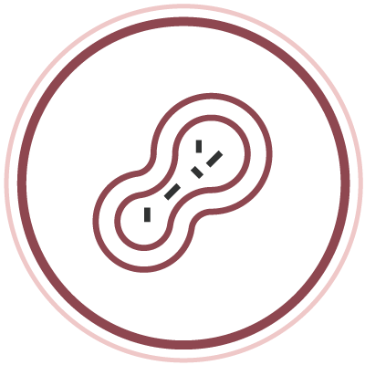 準確擊碎脂肪細胞