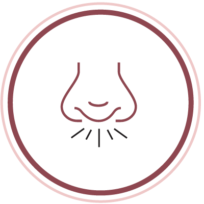 Eliminate snoring concerns